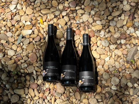 RHÔNE VERTICAL PACK