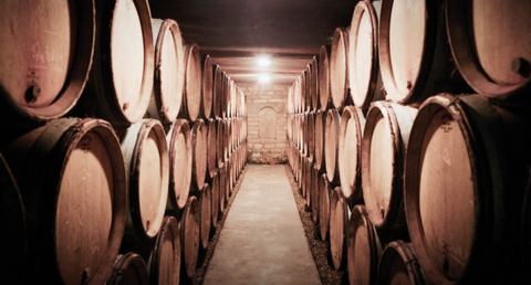 DOMAINE MICHEL MAGNIEN