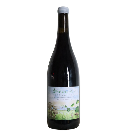 2023 Âmevive "Cariño", Ibarra-Young Vineyard, Los Olivos District, CA