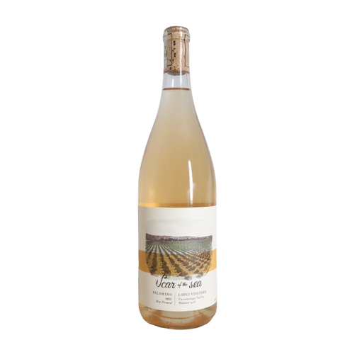 2022 Scar of The Sea "Lopez Vineyard" Palomino, Cucamonga Valley, California, USA