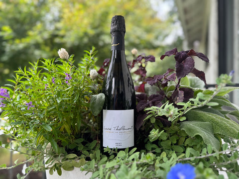 Rare Pinot Fin, Exceptional Crémant – Only at Perrine’s