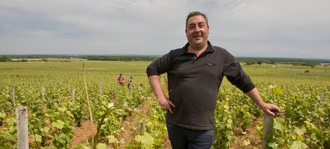 Domaine Odoul-Coquard