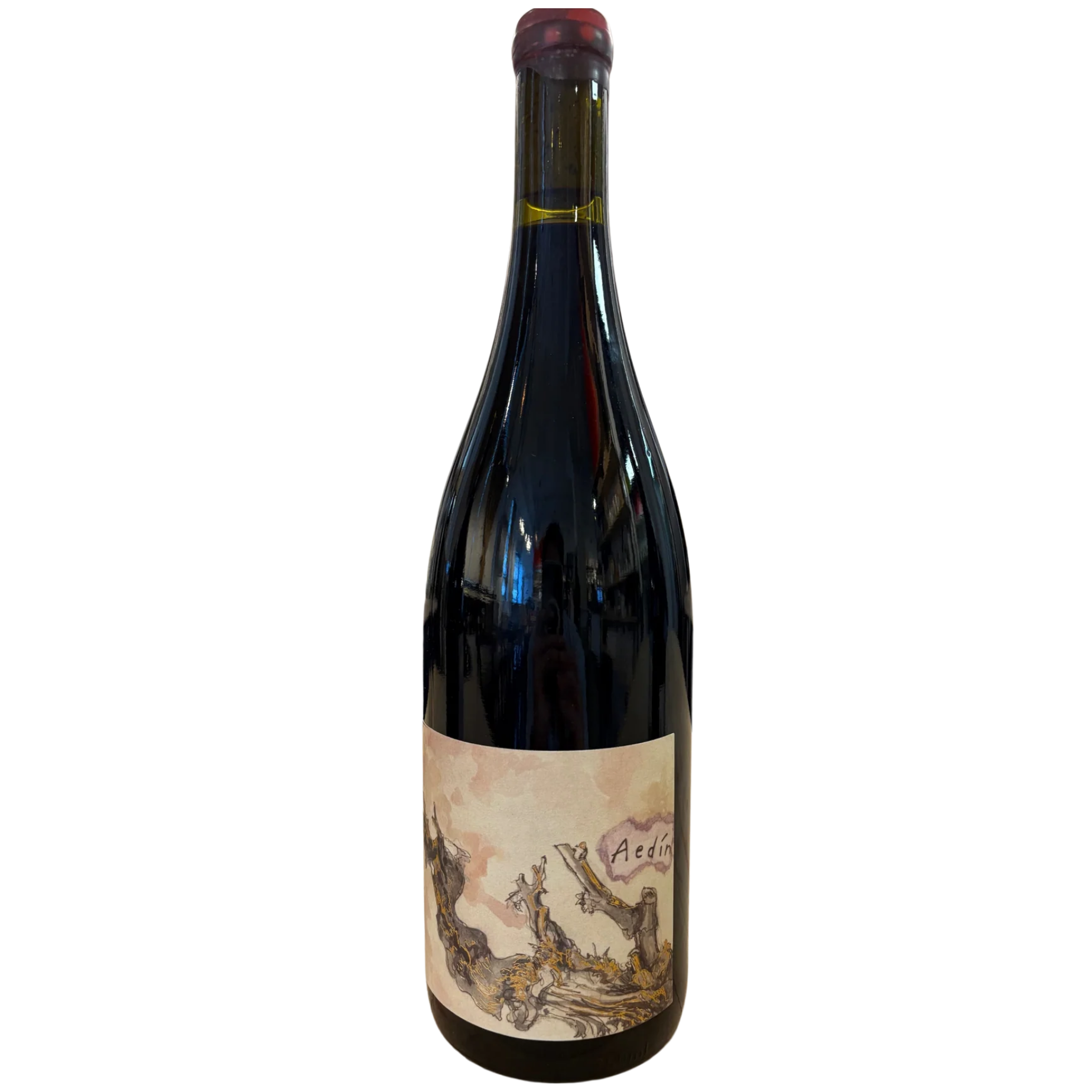 wine様⚘˖* 2021 Tzum 