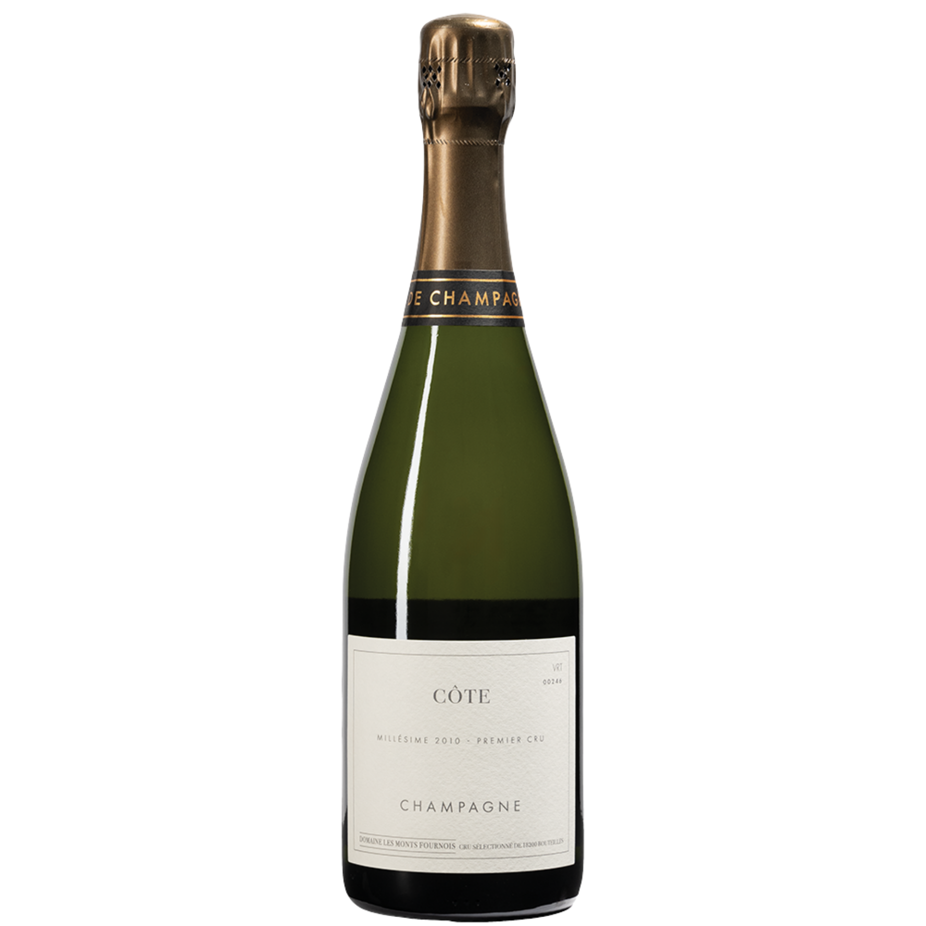 2010 Domaine Les Monts Fournois 