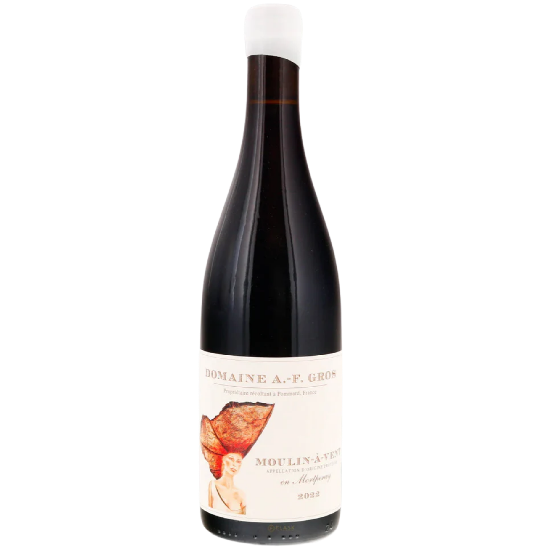 2023 Domaine A.F. Gros Moulin-à-Vent 