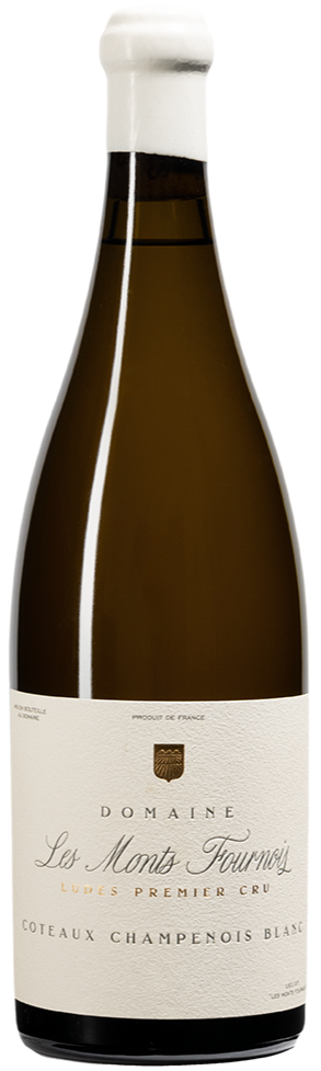 2022 Domaine Les Monts Fournois Coteaux Champenois Blanc, Champagne, France