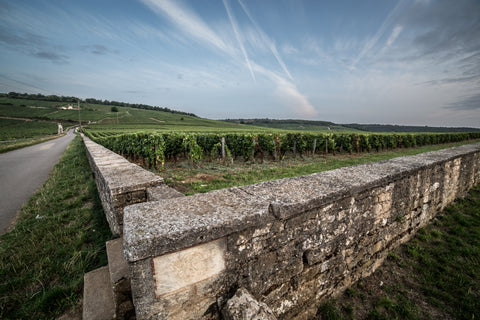 WALL OF BURGUNDY