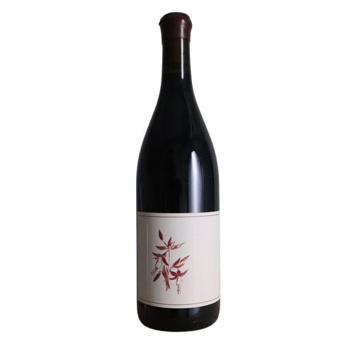 2023 Arnot-Roberts "Que Syrah Vineyard" Syrah, Sonoma Coast, California, USA