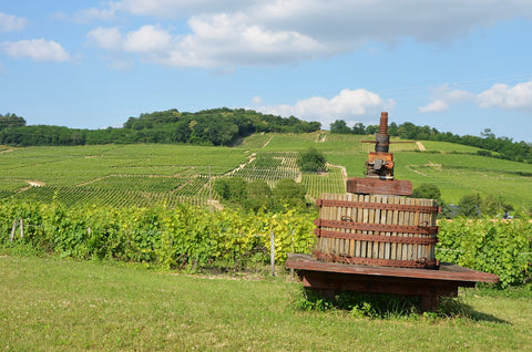 LEARN MORE ABOUT SANCERRE