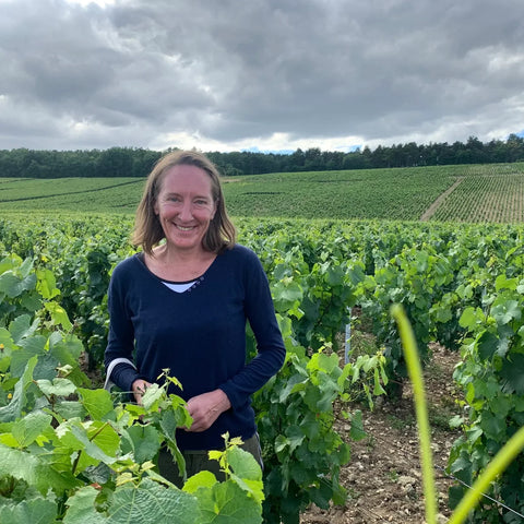 Virginie Moreau - Moreau-Naudet Chablis