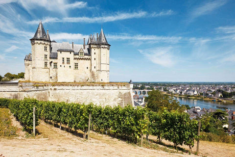 DISCOVER OUR WINES FROM THE LOIRE VALLEY
