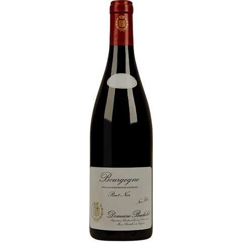 2023 Domaine Denis Bachelet Bourgogne Rouge, Burgundy, France