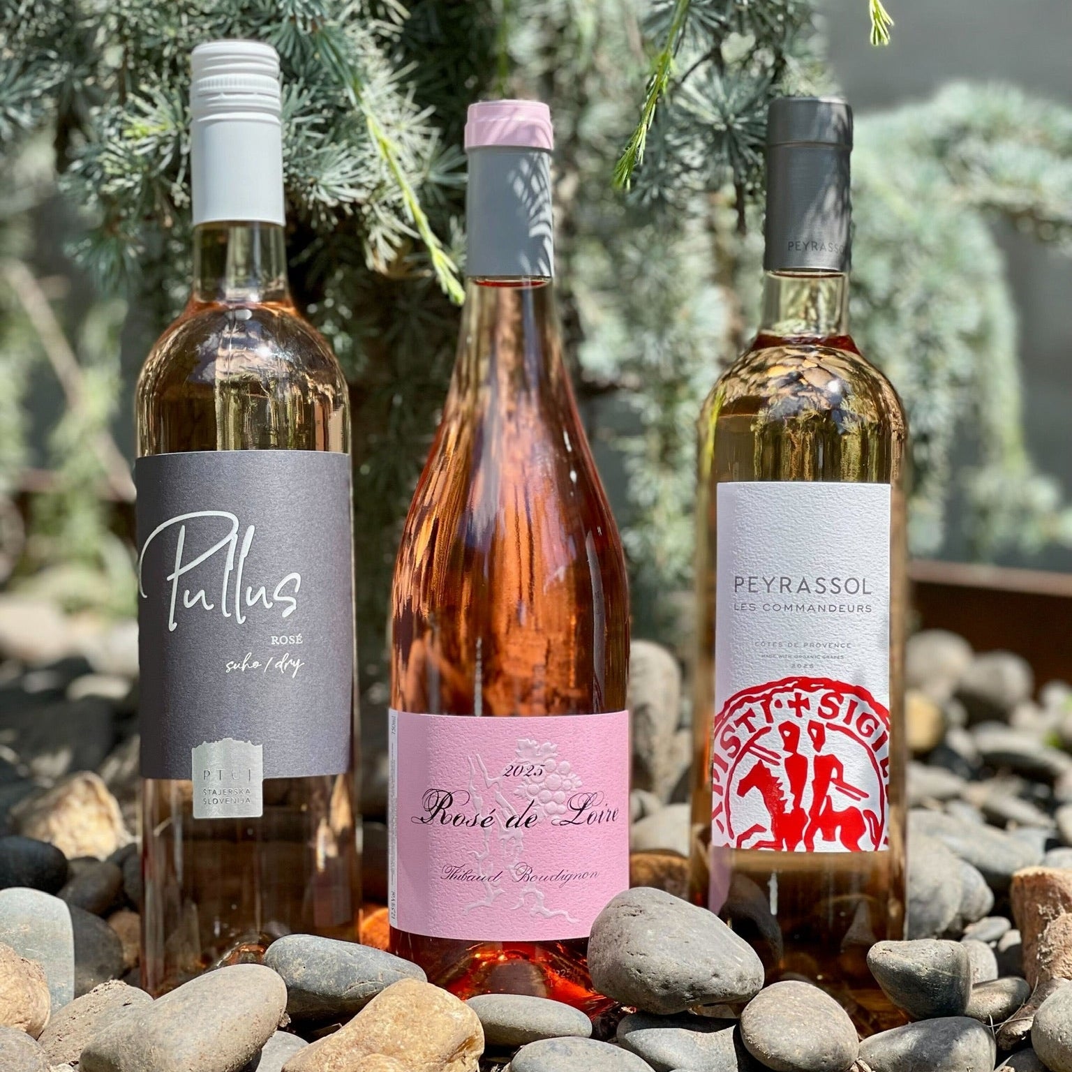 Three Shades of Rosé – 3 Pack – PERRINE's WINE SHOP