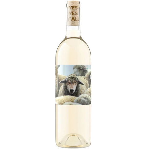 2023 Maison Noir "In Sheep's Clothing", Pinot Grigio, Columbia Valley, Washington, USA