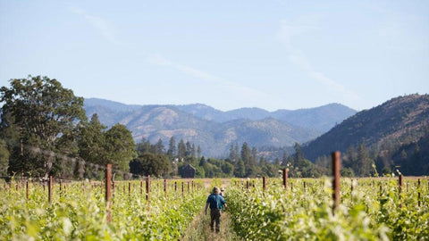 Cowhorn - BIODYNAMIC