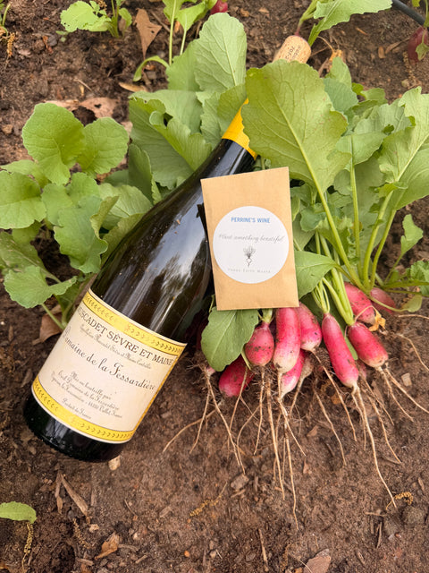 Muscadet and Radishes