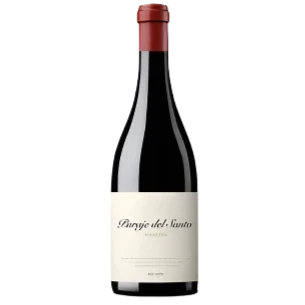 2014 Bodegas Margón "Paraje El Santo" Prieto Picudo, Castilla y León, Spain