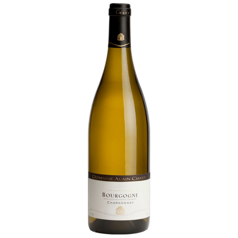 2023 Domaine Alain Chavy Bourgogne Blanc, Burgundy, France