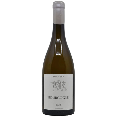 2023 Domaine Benoit Ente Bourgogne Blanc, Burgundy, France