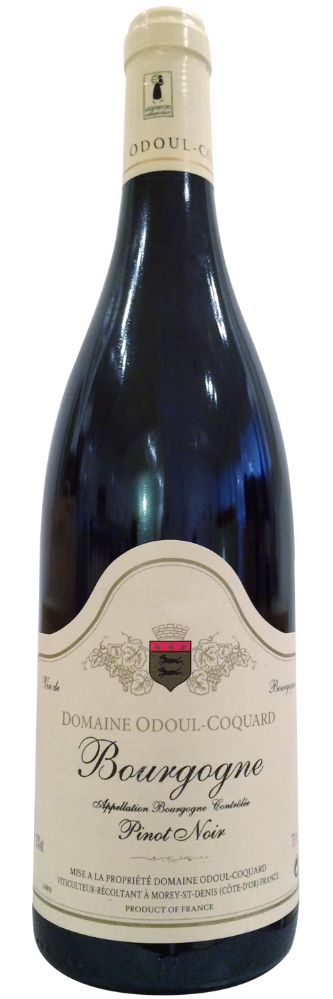 2021 Domaine Odoul-Coquard Bourgogne Côte d'Or Rouge, Burgundy, France