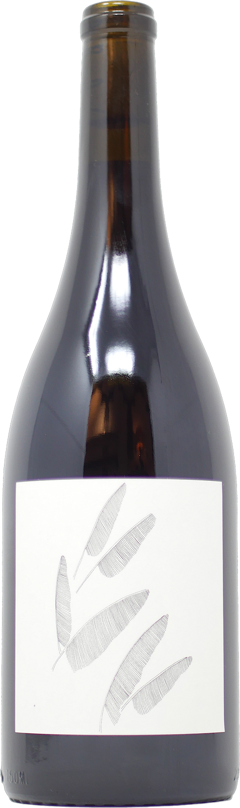 2022 Broc Cellars “Wirth Ranch Vineyard” Zinfandel, Solano County, California