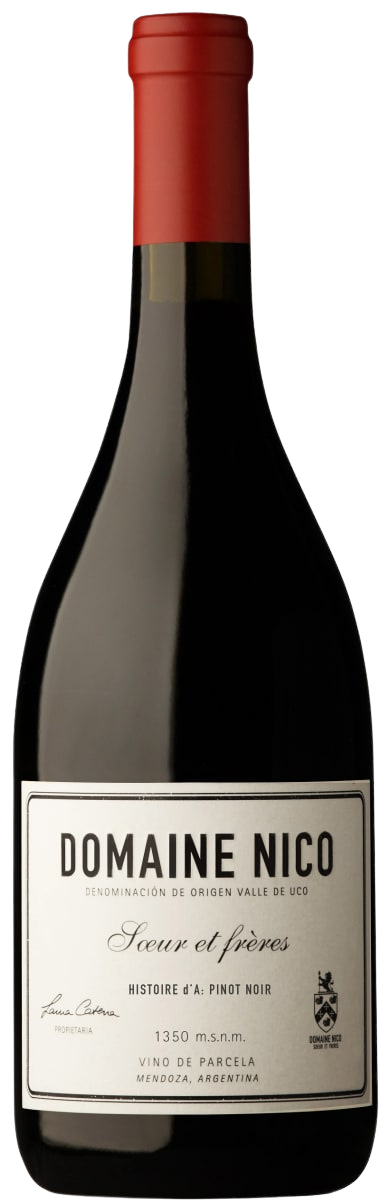 2020 Domaine Nico "Histoire d'A" Pinot Noir, Valle de Uco, Mendoza, Argentina