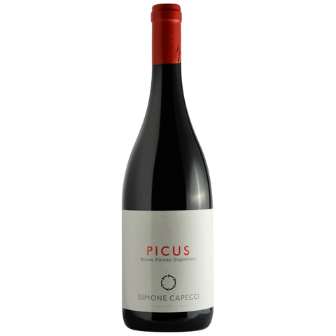 2020 Simone Capecci "Picus" Rosso Piceno Superiore, Marche,  Italy