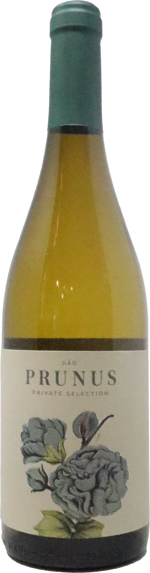 2022 Gota Wines "Prunus Branco", Dão, Portugal