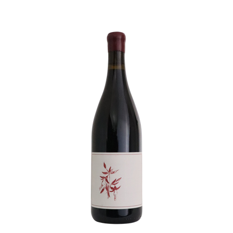 2021 Arnot Roberts Syrah, Sonoma Coast, North Coast, California, USA